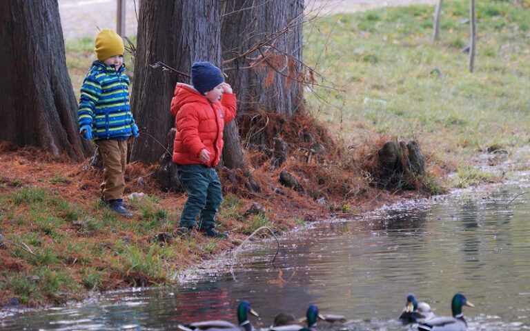 Boys throwing sticks in pond
