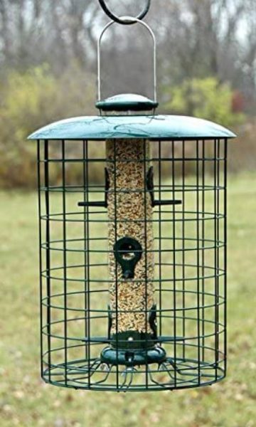 A caged bird feeder hanging above lawn
