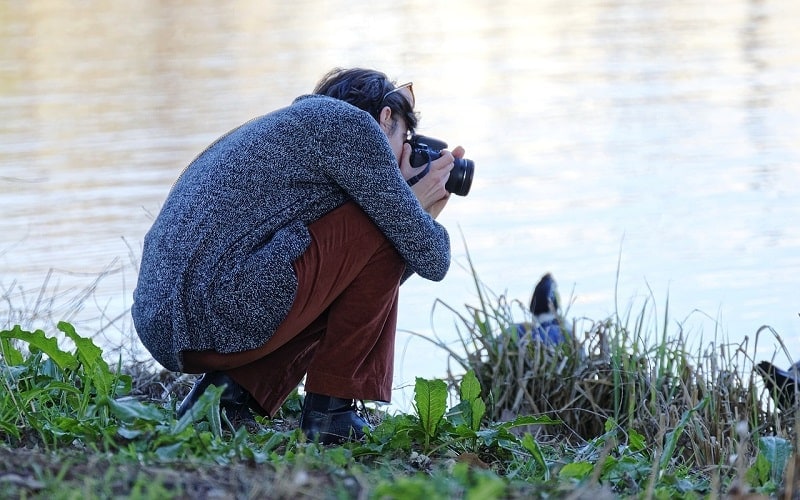 Woman photographing bird on water's edge.